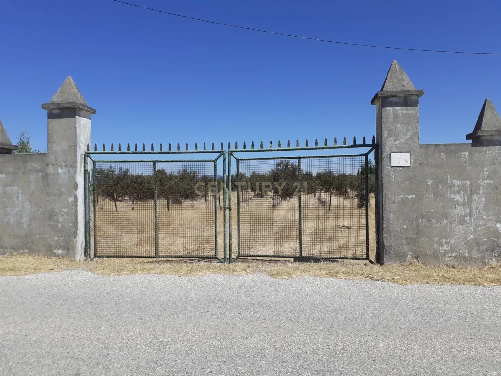 Courelas da Capela - Redondo - Image 1