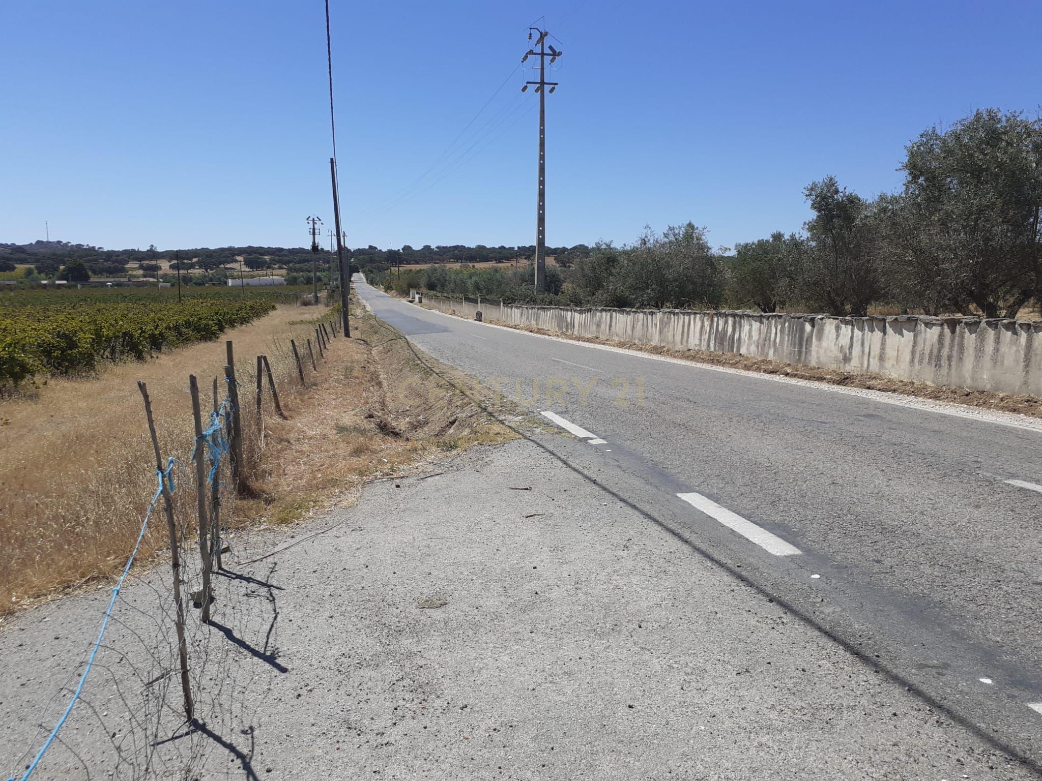 Quinta Vale de Sobrados - Redondo - Image 4