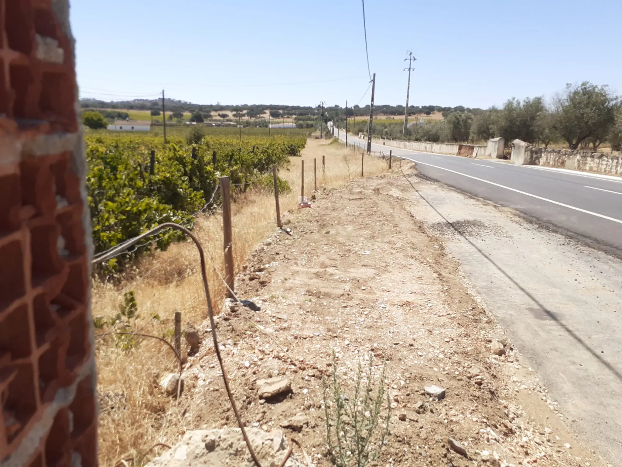 Quinta Vale de Sobrados - Redondo - Image 5