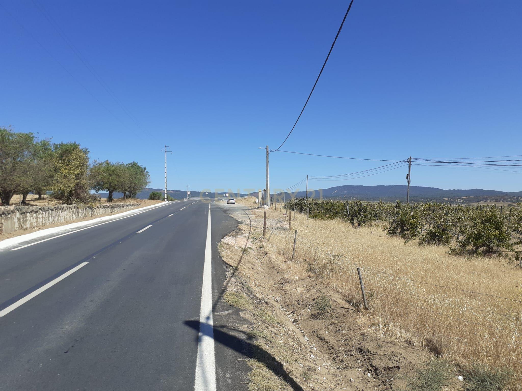 Quinta Vale de Sobrados - Redondo - Image 3