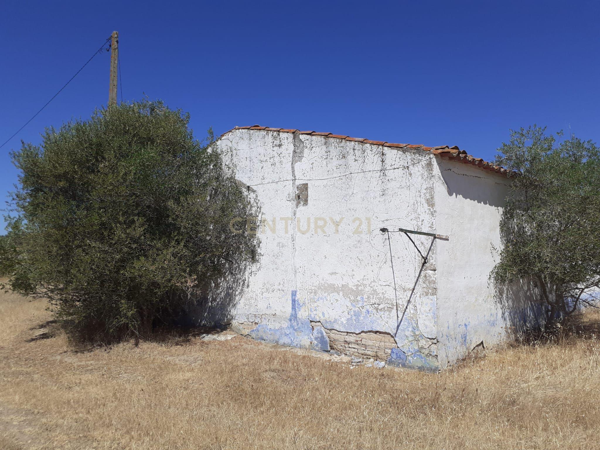 Quinta Vale de Sobrados - Redondo - Image 30