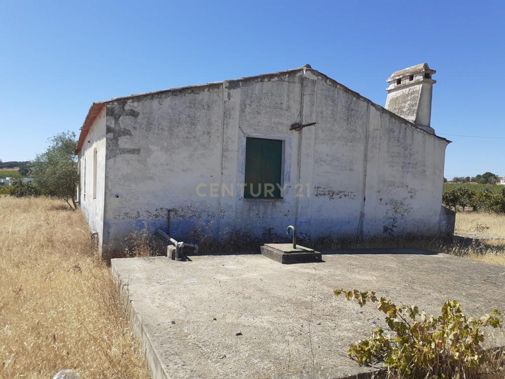 Quinta Vale de Sobrados - Redondo - Image 28