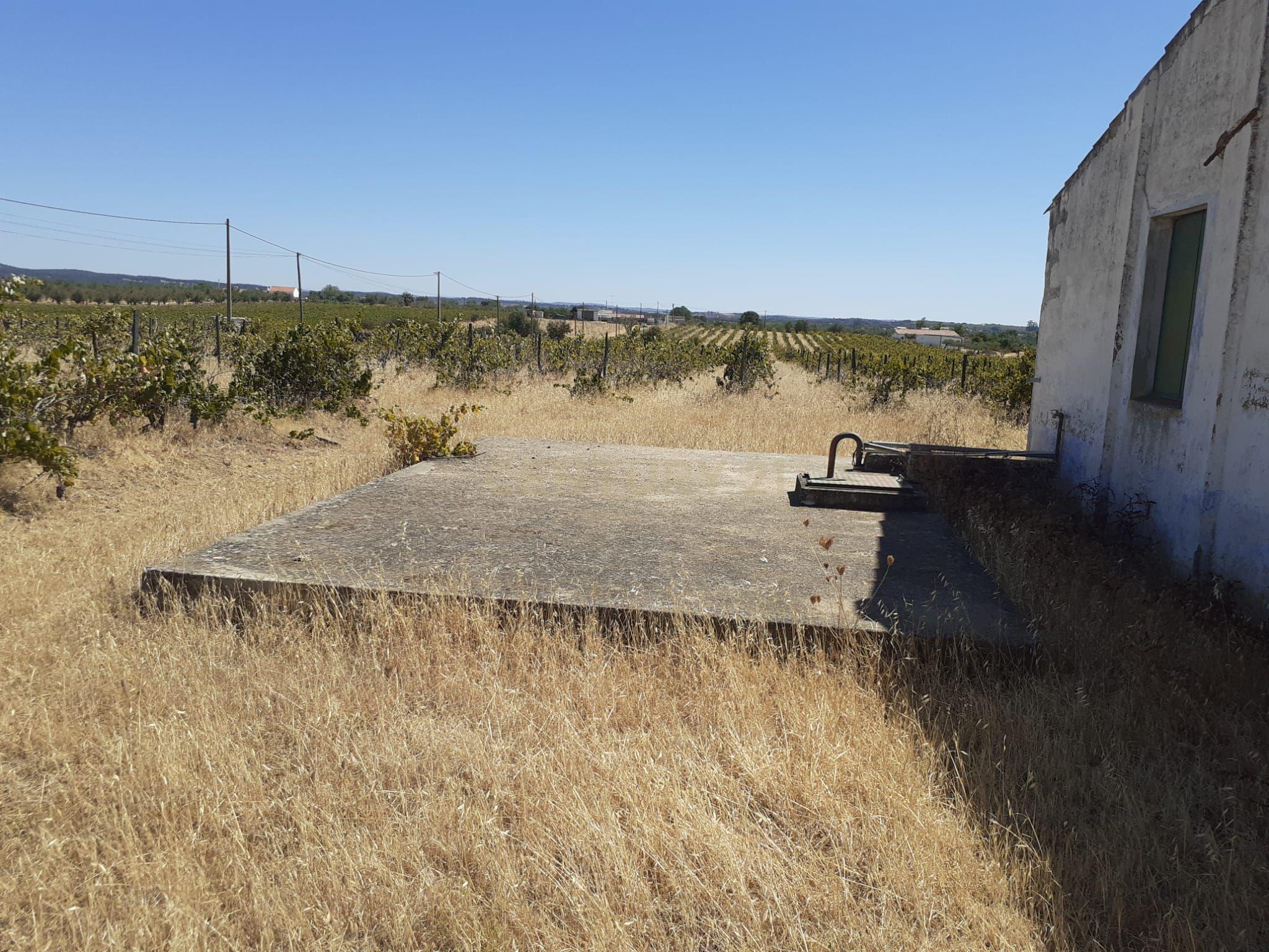 Quinta Vale de Sobrados - Redondo - Image 27