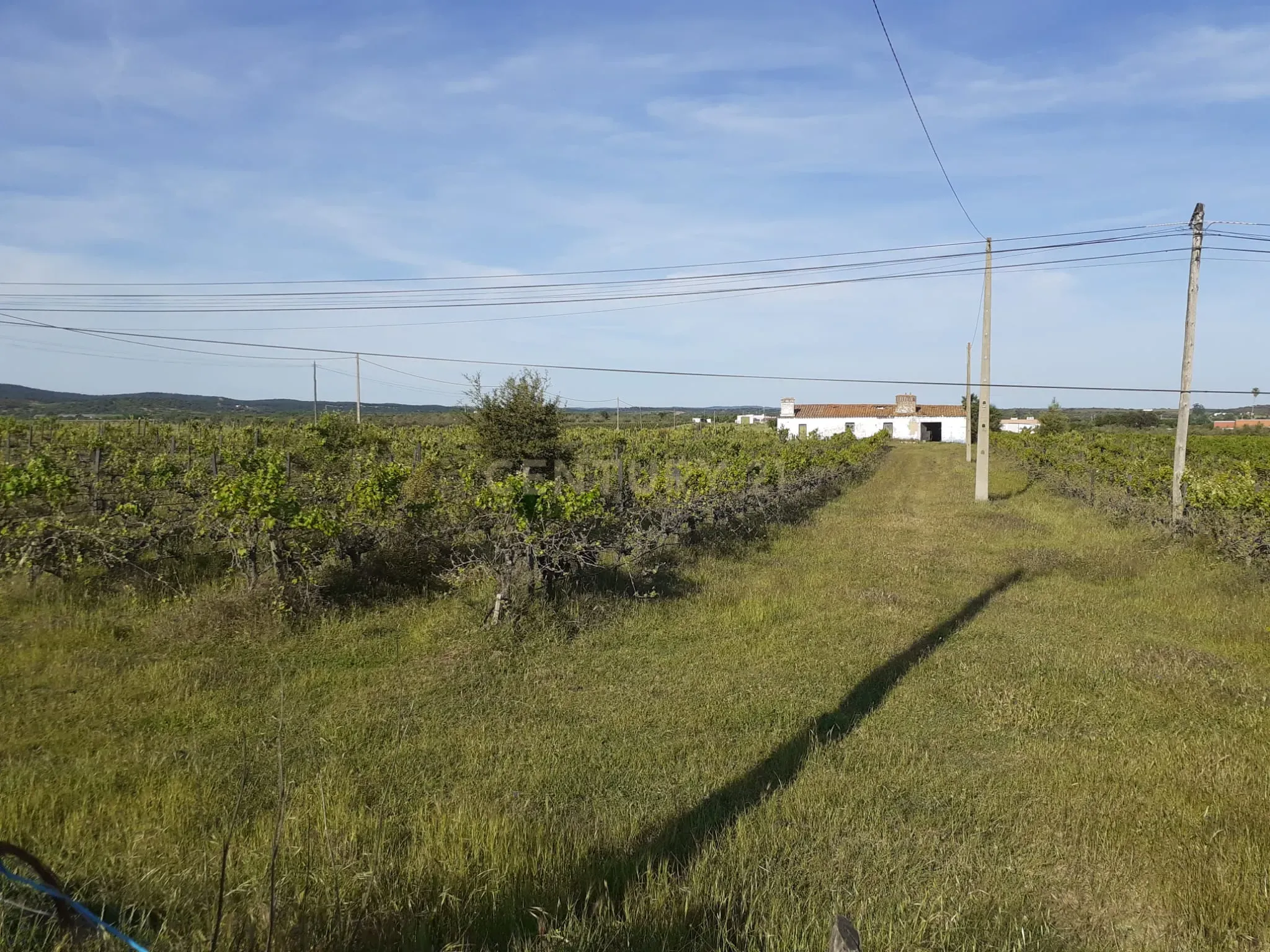 Quinta Vale de Sobrados - Redondo - Image 1