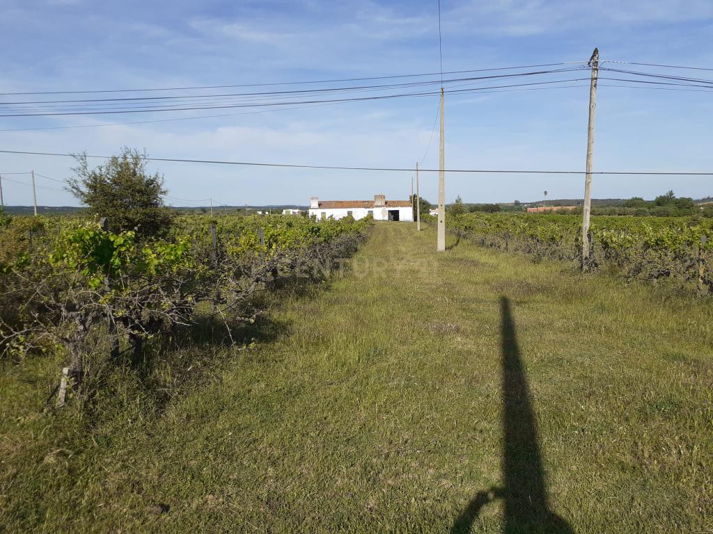 Quinta Vale de Sobrados - Redondo - Image 7