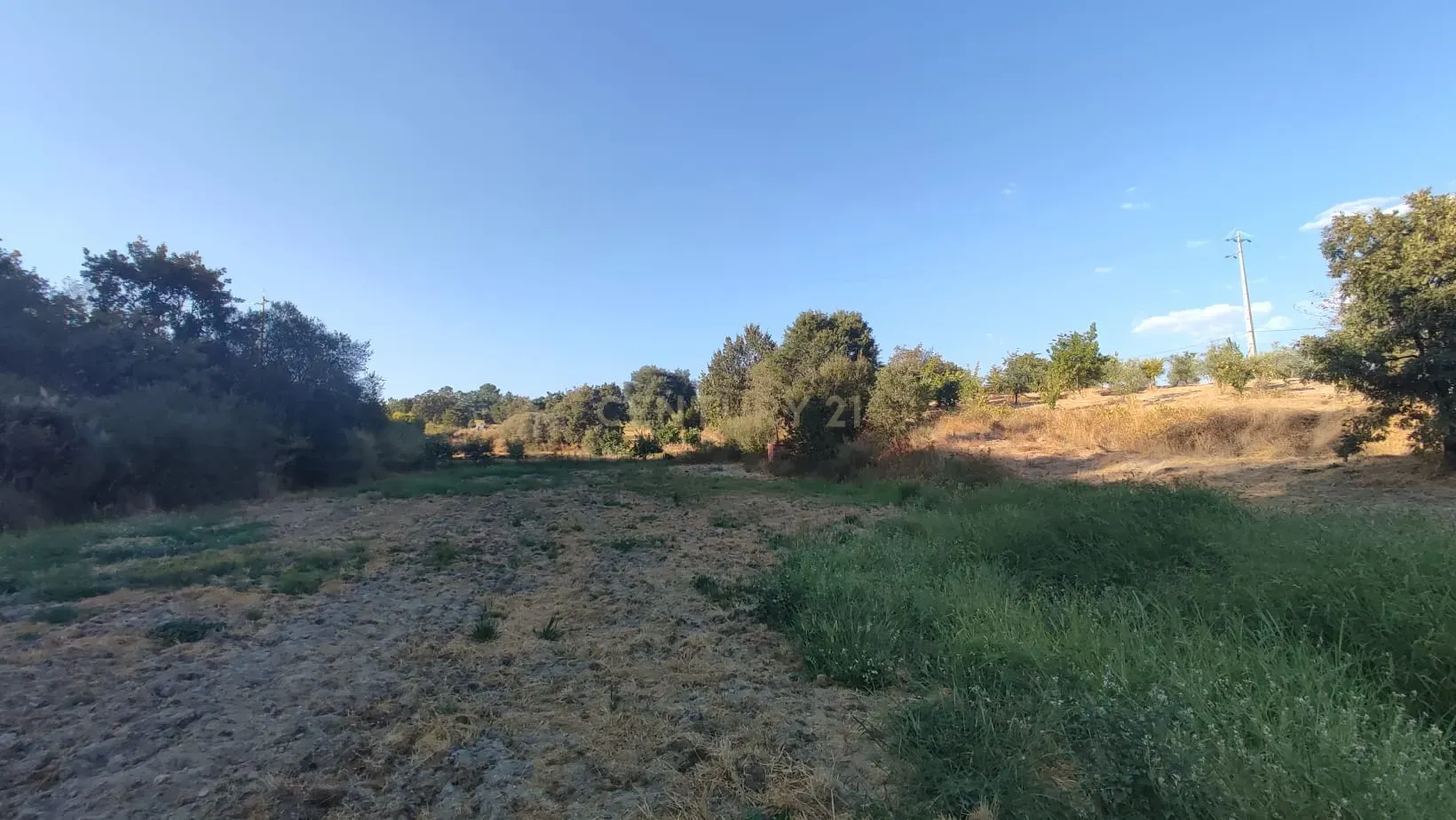 Terreno Rústico, Atalaia do Campo - Image 7