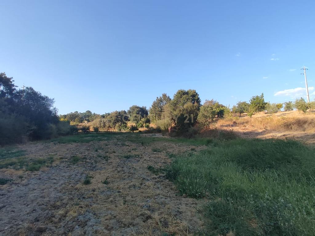 Terreno Rústico, Atalaia do Campo - Image 7