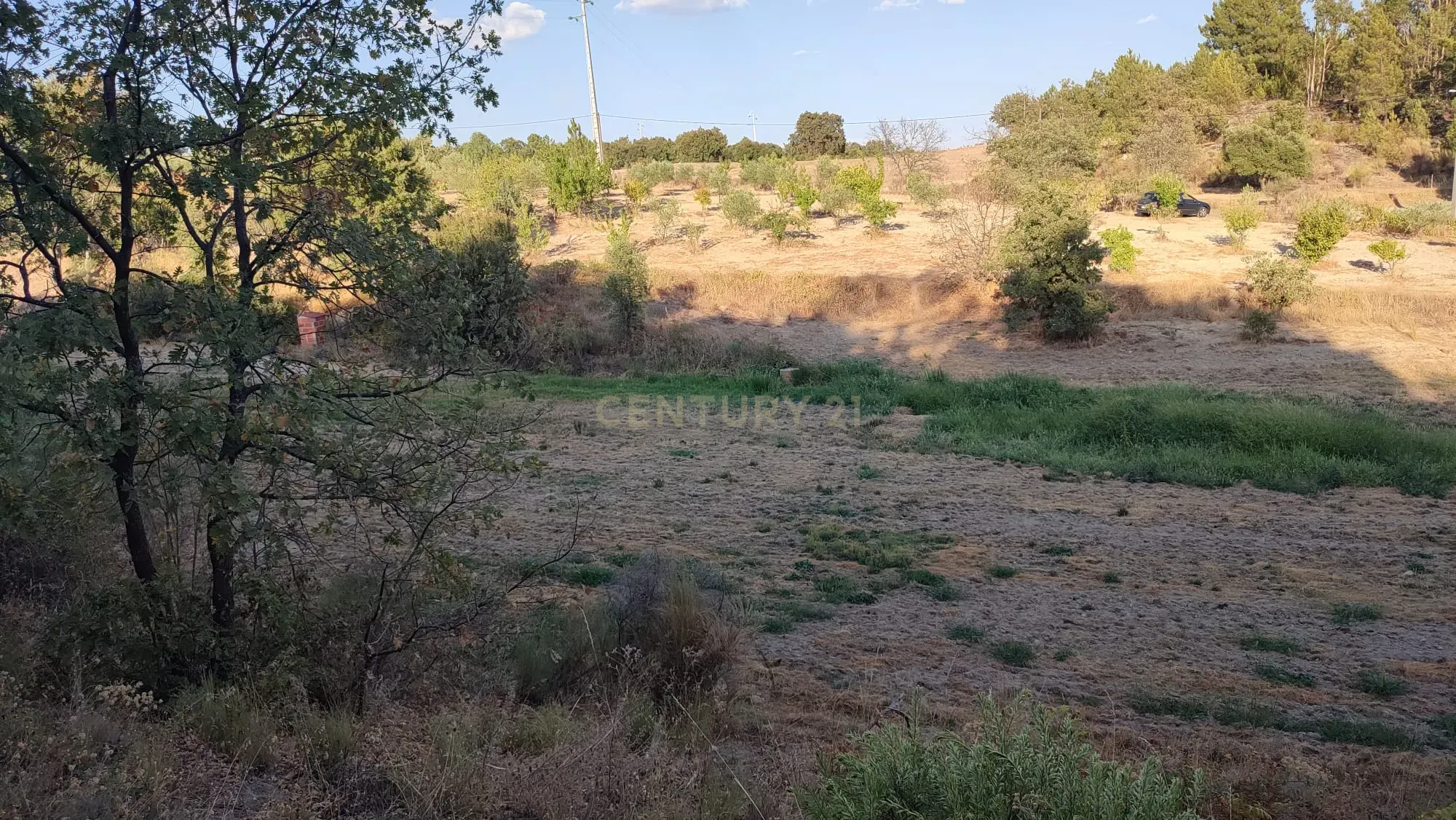 Terreno Rústico, Atalaia do Campo - Image 3