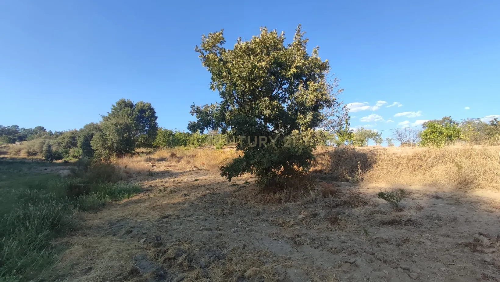 Terreno Rústico, Atalaia do Campo - Image 10