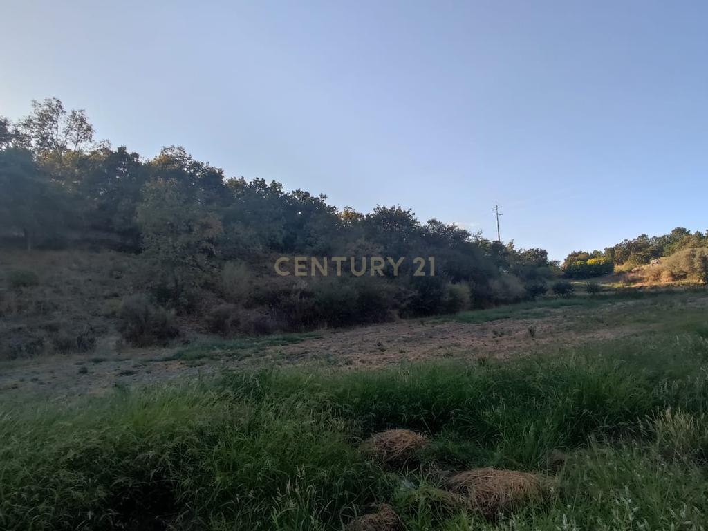 Terreno Rústico, Atalaia do Campo - Image 1