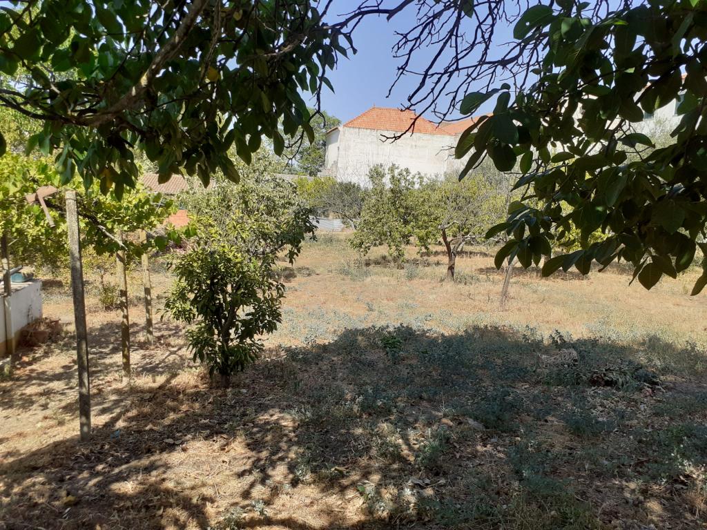 Casa Senhorial, situado na rua de Mourão, 37 em Reguengos de Monsaraz. - Image 61