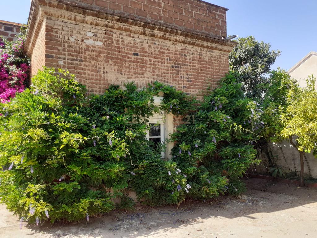 Casa Senhorial, situado na rua de Mourão, 37 em Reguengos de Monsaraz. - Image 11