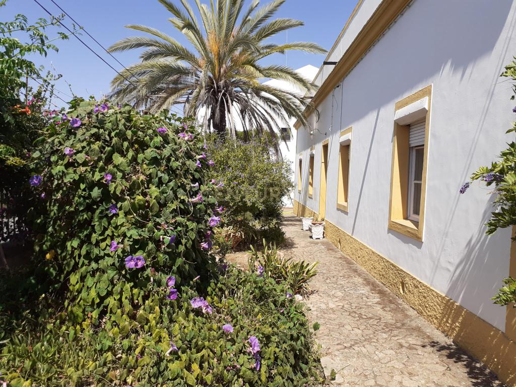 Casa Senhorial, situado na rua de Mourão, 37 em Reguengos de Monsaraz. - Image 7