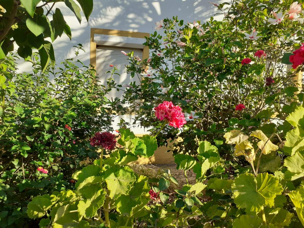 Casa Senhorial, situado na rua de Mourão, 37 em Reguengos de Monsaraz. - Image 13
