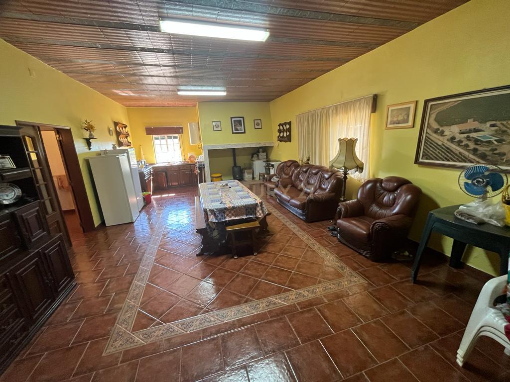 Vinha com 166 228m2, com benfeitoria (projeto) em Estremoz. - Image 9