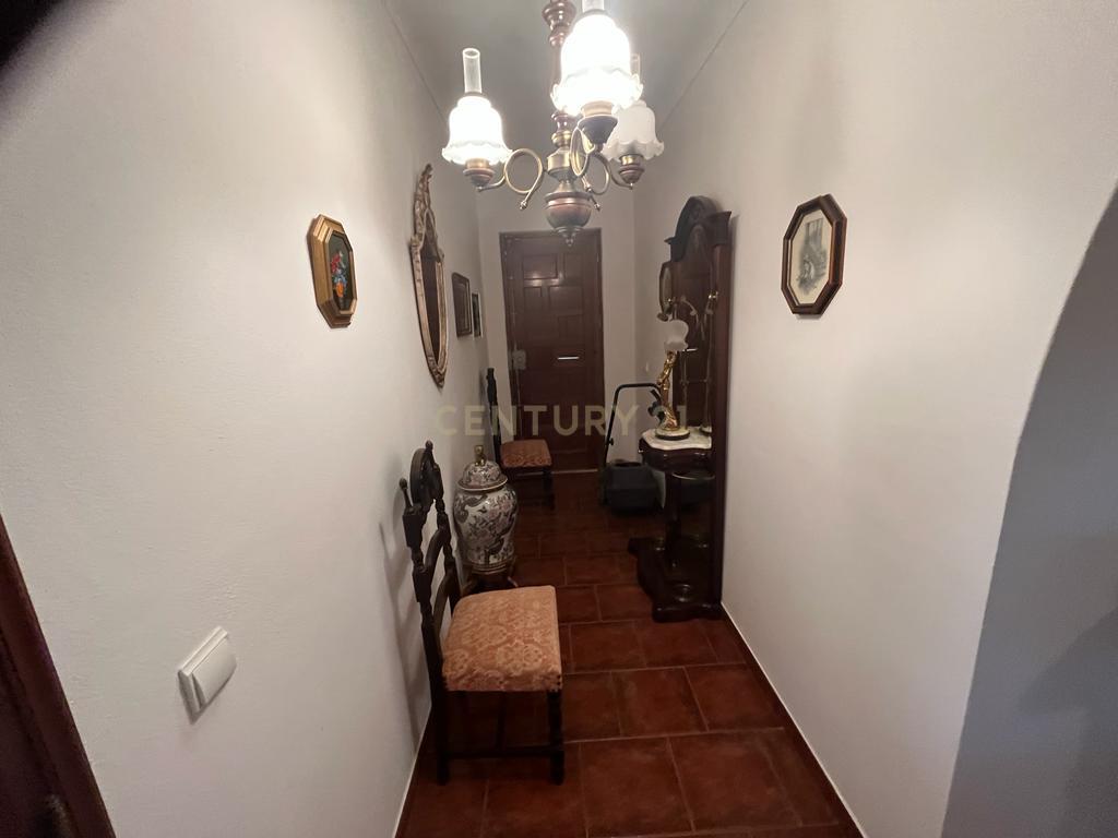Vinha com 166 228m2, com benfeitoria (projeto) em Estremoz. - Image 11