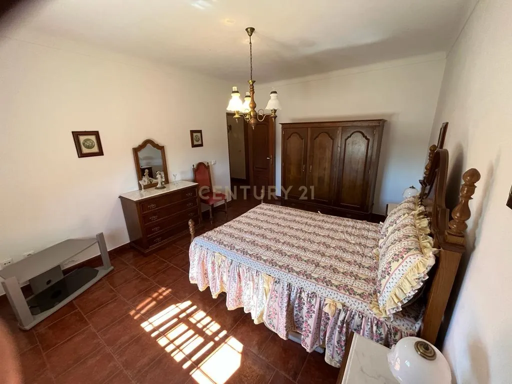 Vinha com 166 228m2, com benfeitoria (projeto) em Estremoz. - Image 24