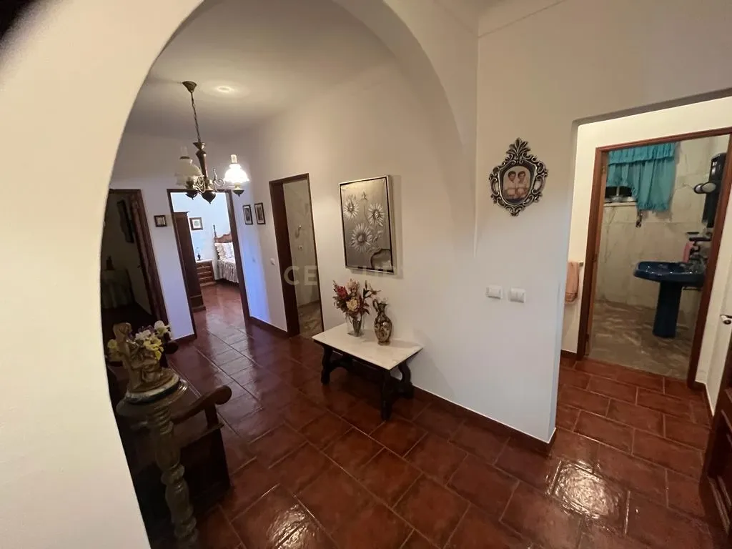 Vinha com 166 228m2, com benfeitoria (projeto) em Estremoz. - Image 12