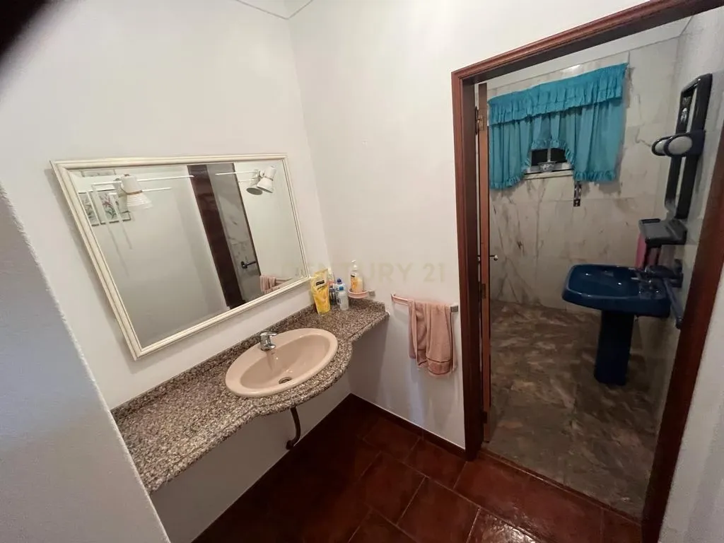 Vinha com 166 228m2, com benfeitoria (projeto) em Estremoz. - Image 14