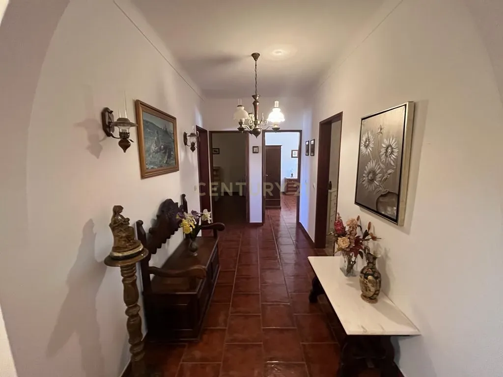 Vinha com 166 228m2, com benfeitoria (projeto) em Estremoz. - Image 13