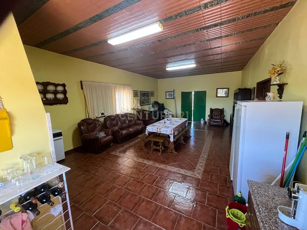 Vinha com 166 228m2, com benfeitoria (projeto) em Estremoz. - Image 10
