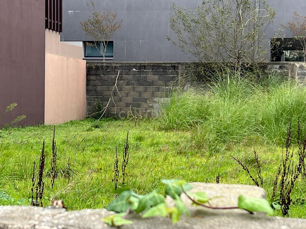 Terreno para construção de moradia no Centro de Espinho - Image 8