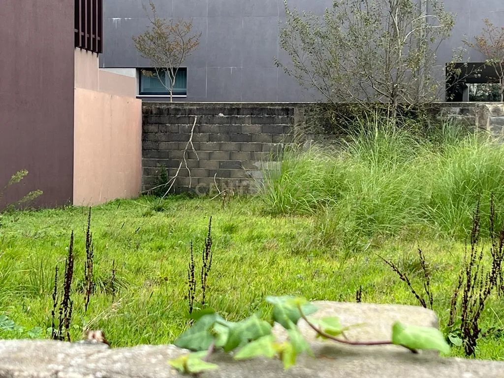 Terreno para construção de moradia no Centro de Espinho - Image 8
