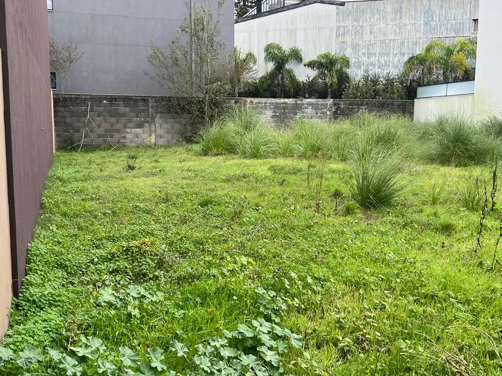 Terreno para construção de moradia no Centro de Espinho - Image 11