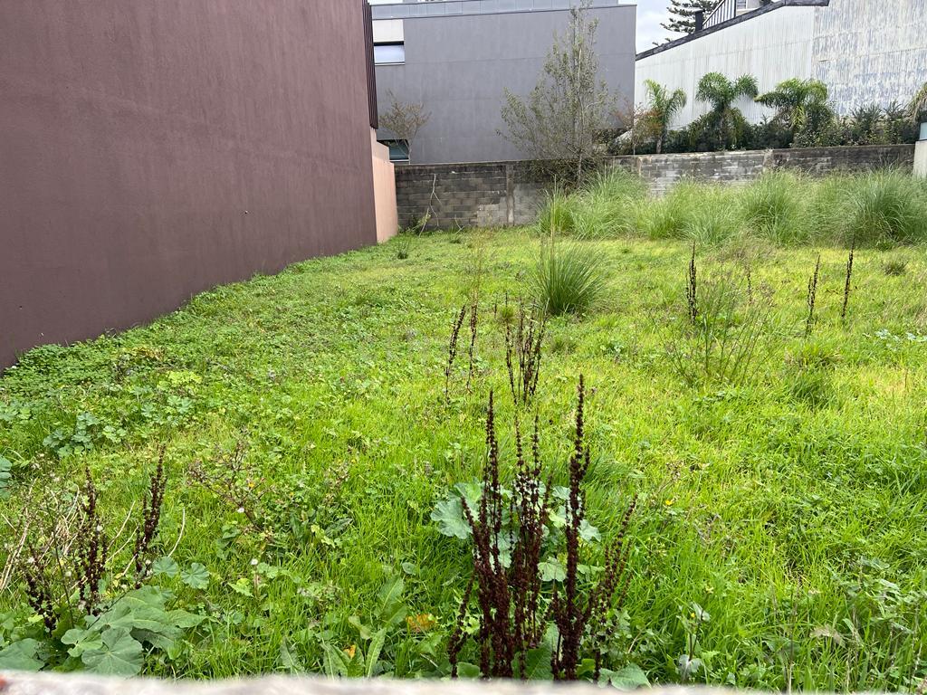 Terreno para construção de moradia no Centro de Espinho - Image 10