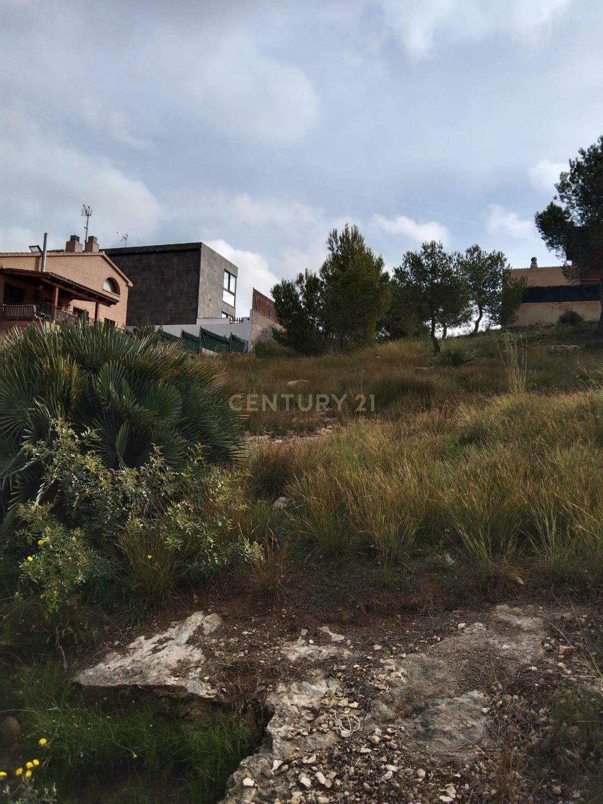 undefined - Image 3