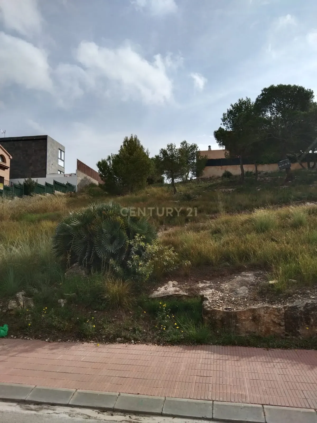 undefined - Image 4