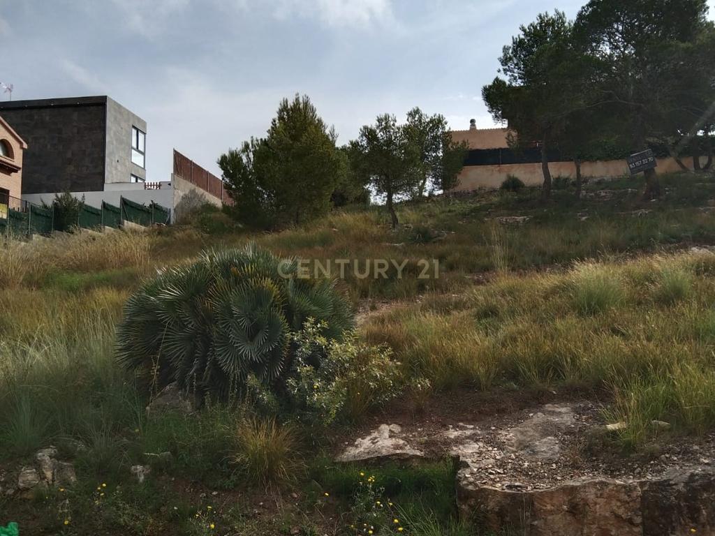 undefined - Image 4