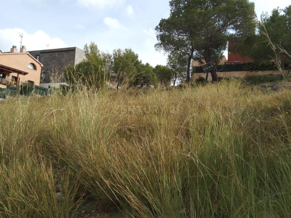 undefined - Image 2