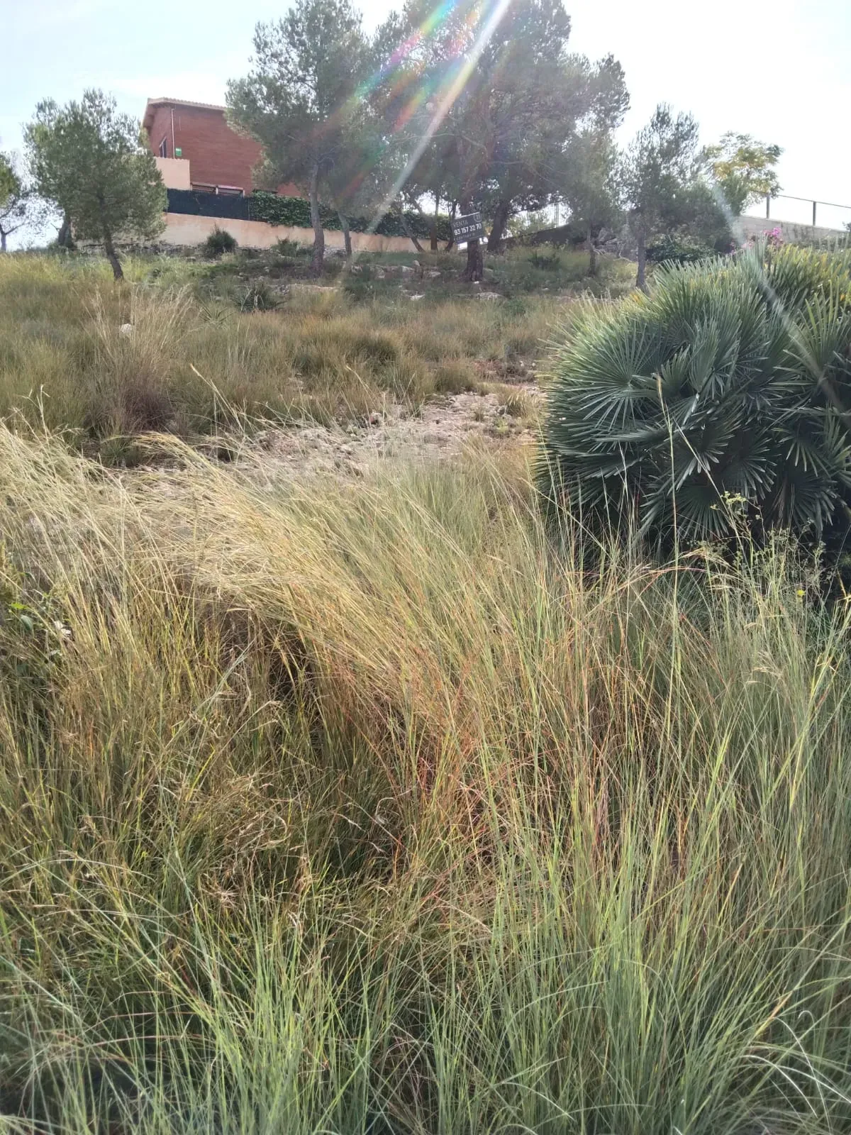 undefined - Image 5