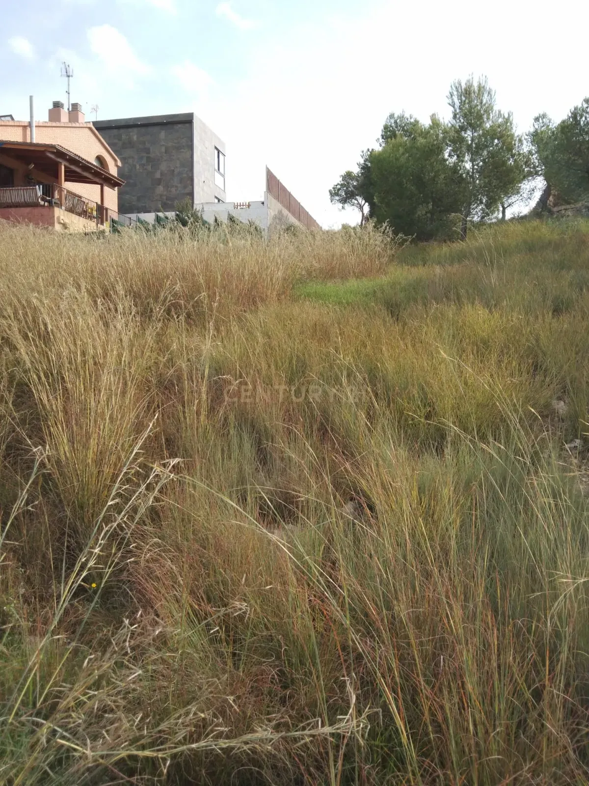 undefined - Image 6