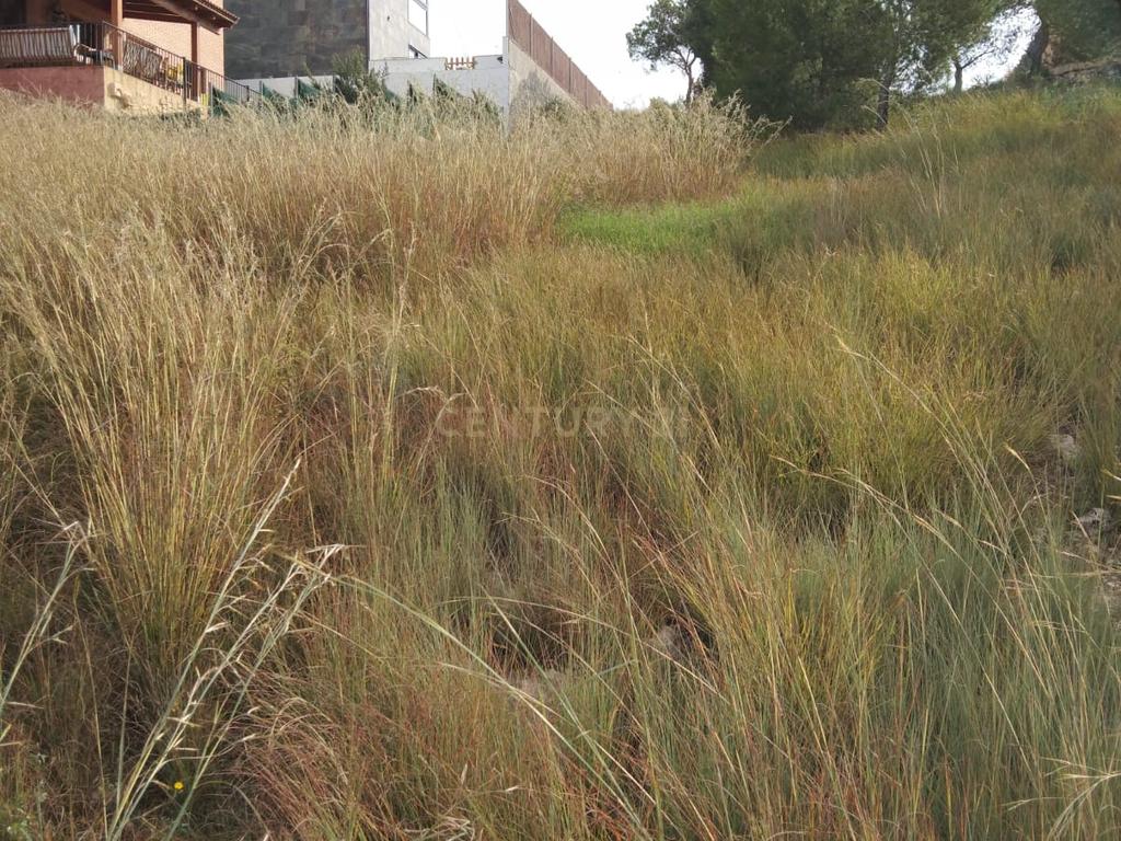 undefined - Image 6