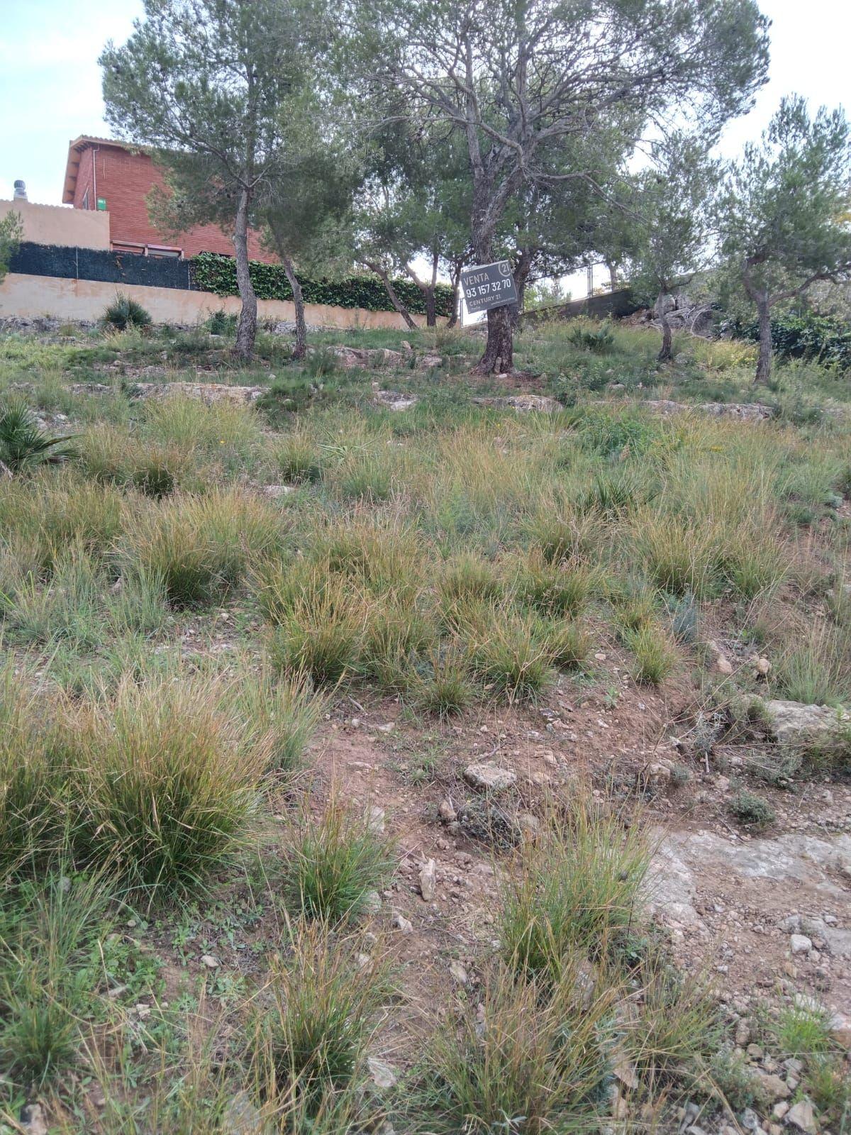 undefined - Image 8