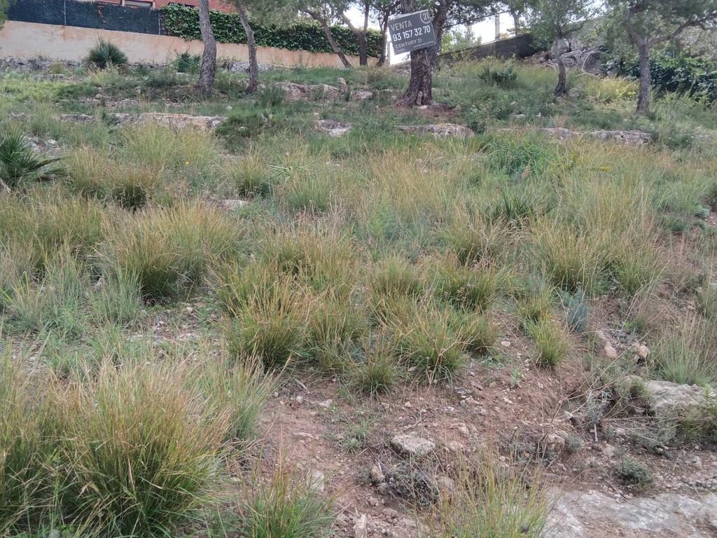 undefined - Image 8