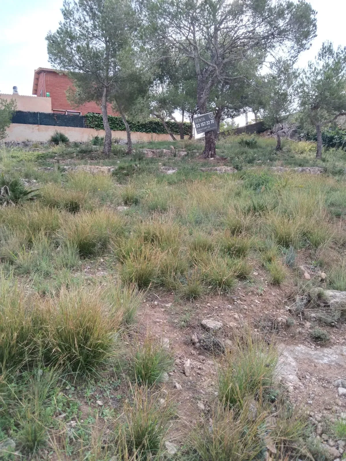 undefined - Image 9