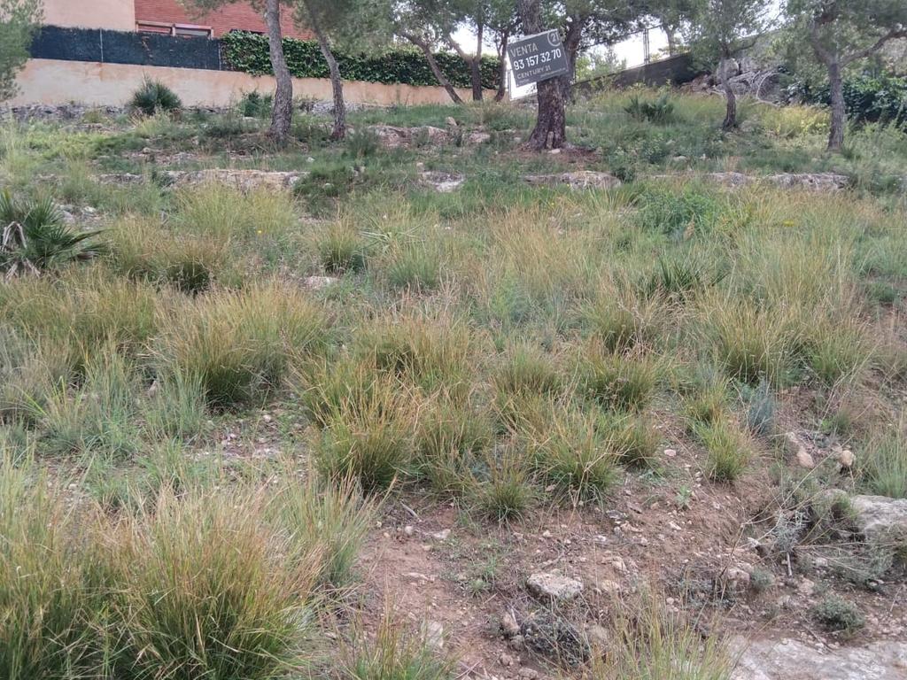 undefined - Image 9