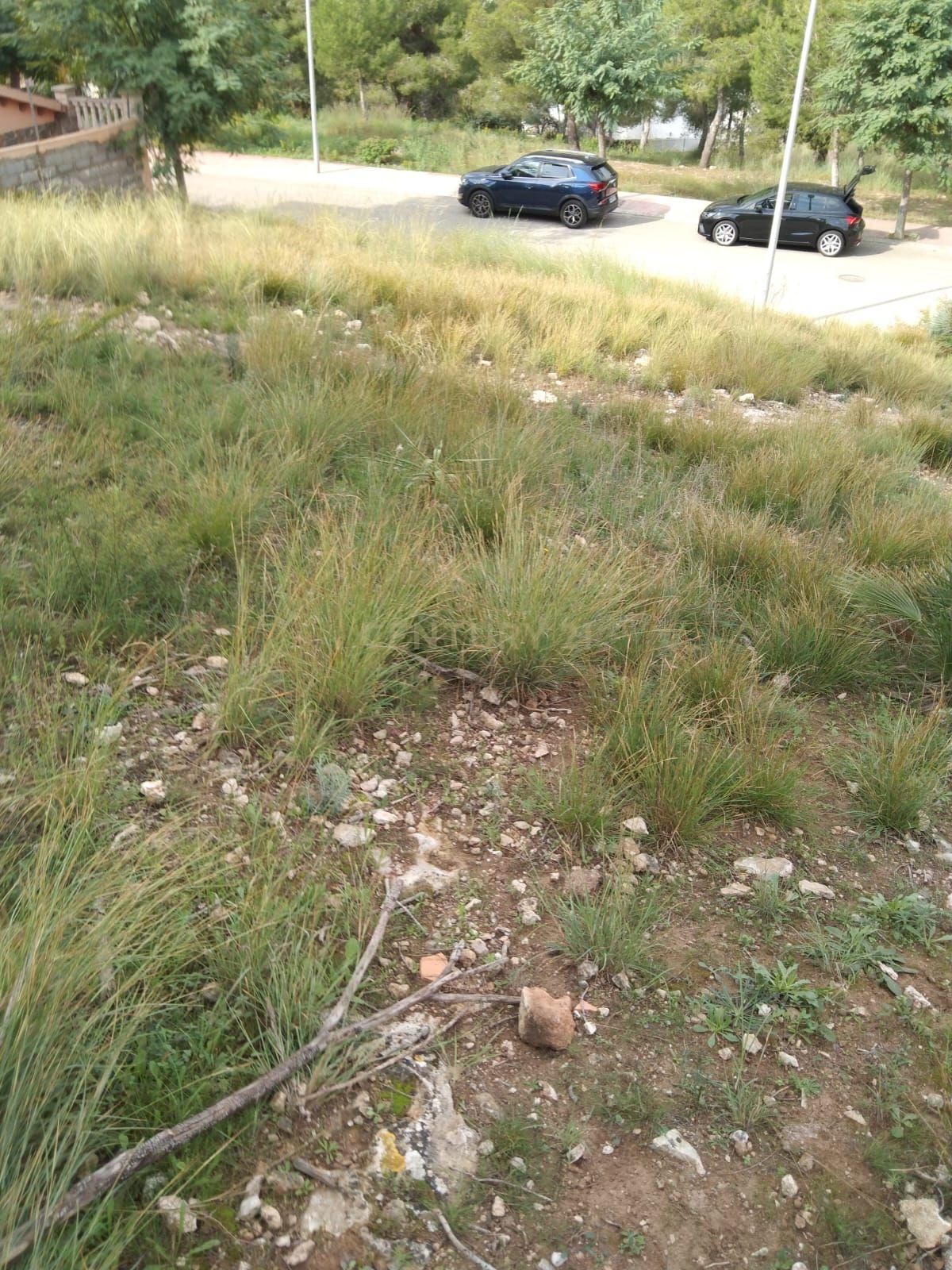 undefined - Image 7