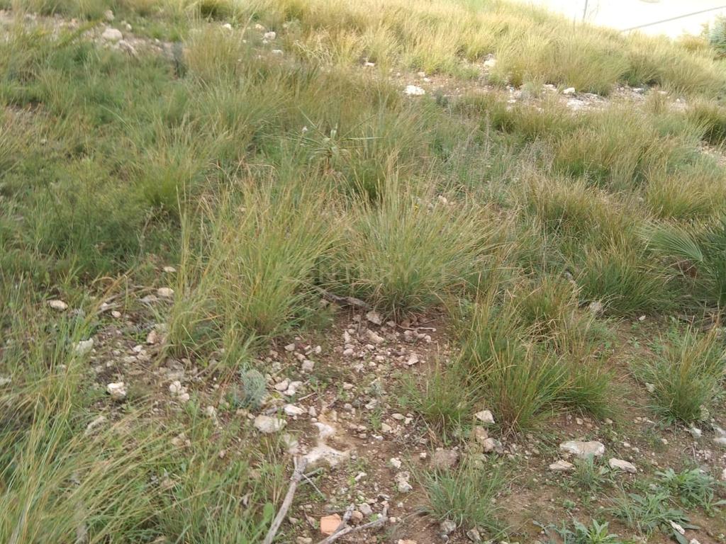 undefined - Image 7
