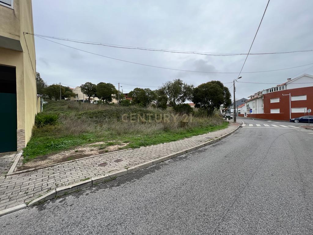 Terreno 1000 m2 - GRANDE oportunidade de Investimento Casal Cambra - Image 4