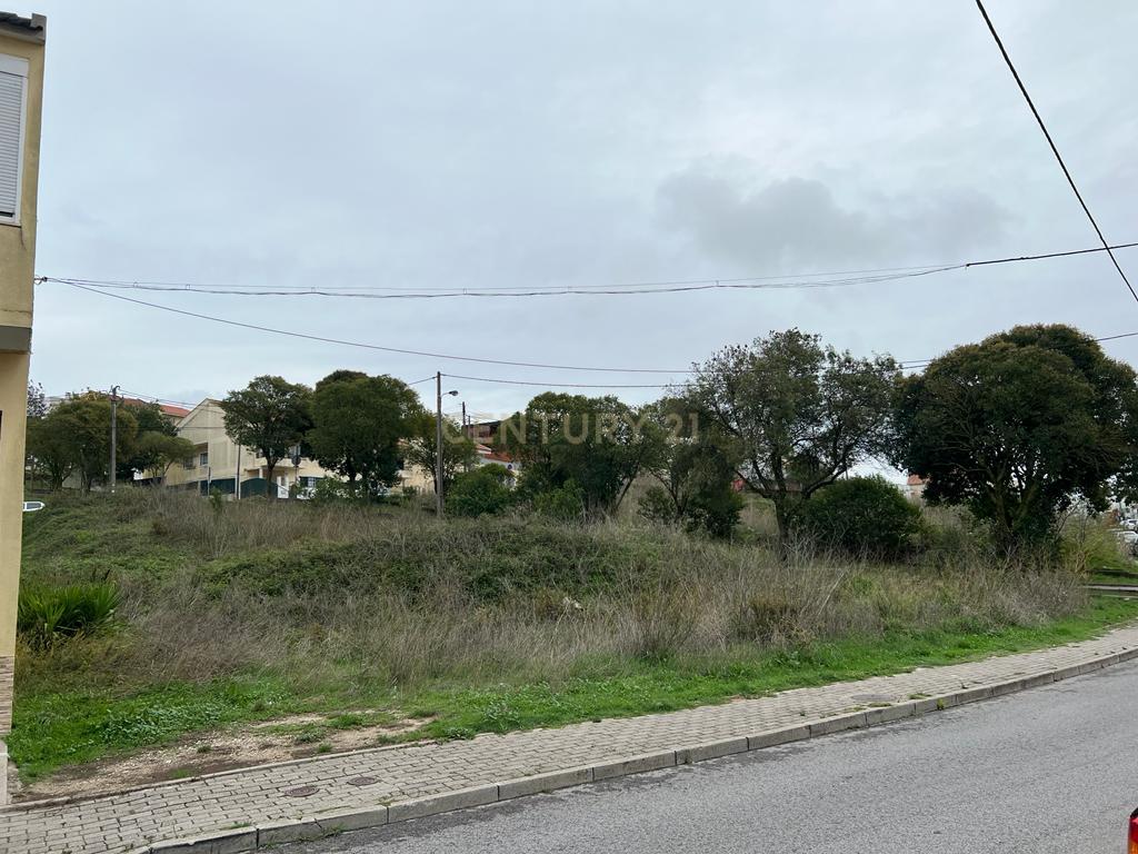 Terreno 1000 m2 - GRANDE oportunidade de Investimento Casal Cambra - Image 8
