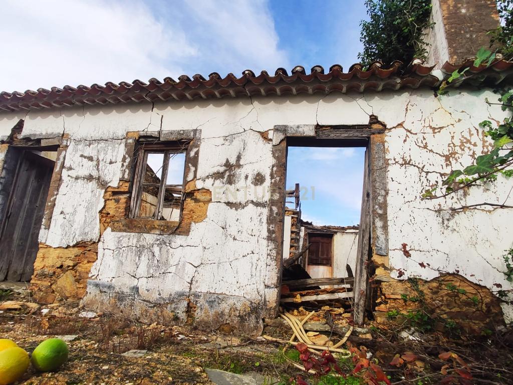 Magníficos terrenos com vista para o Rio Zêzere e a Albufeira de Castelo de Bode - DESCIDA DE PREÇO - Image 9