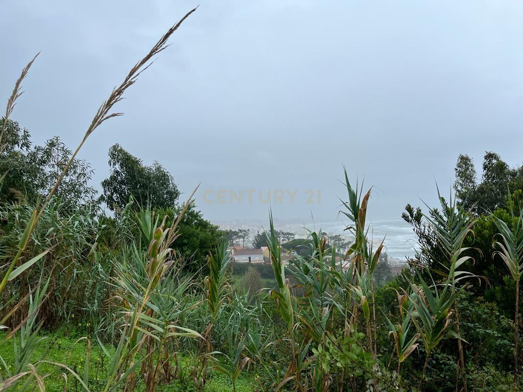 Terreno Urbano com vista mar na Serra Boa Viagem, Figueira-da-Foz - Image 2