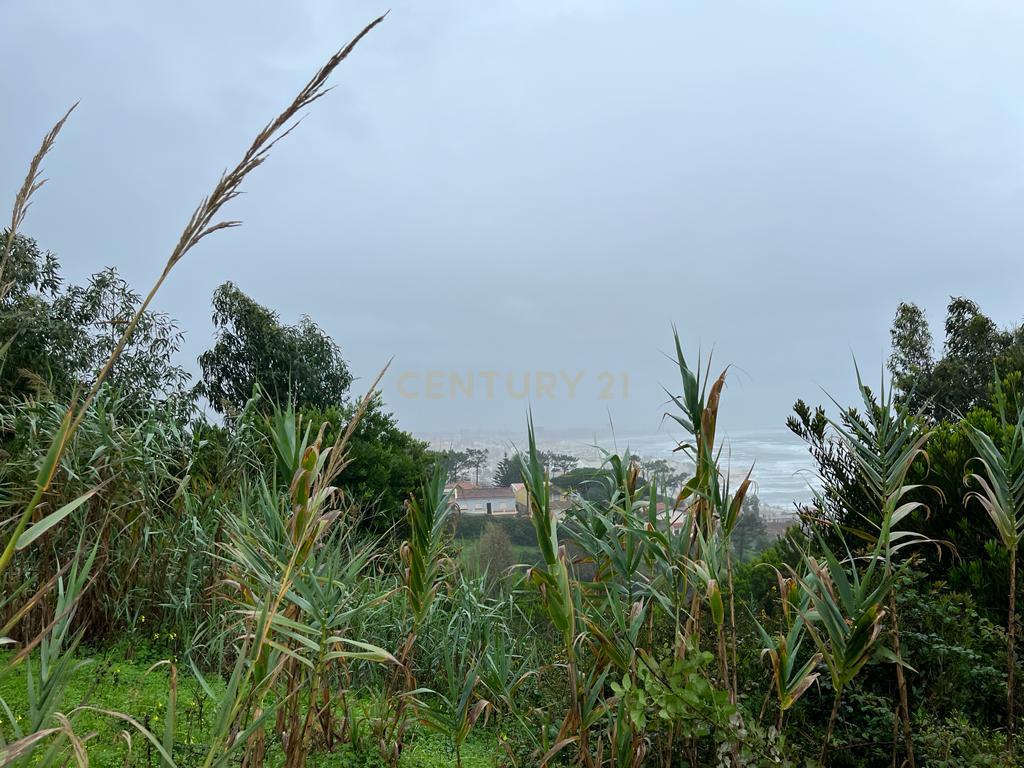 Terreno Urbano com vista mar na Serra Boa Viagem, Figueira-da-Foz - Image 2