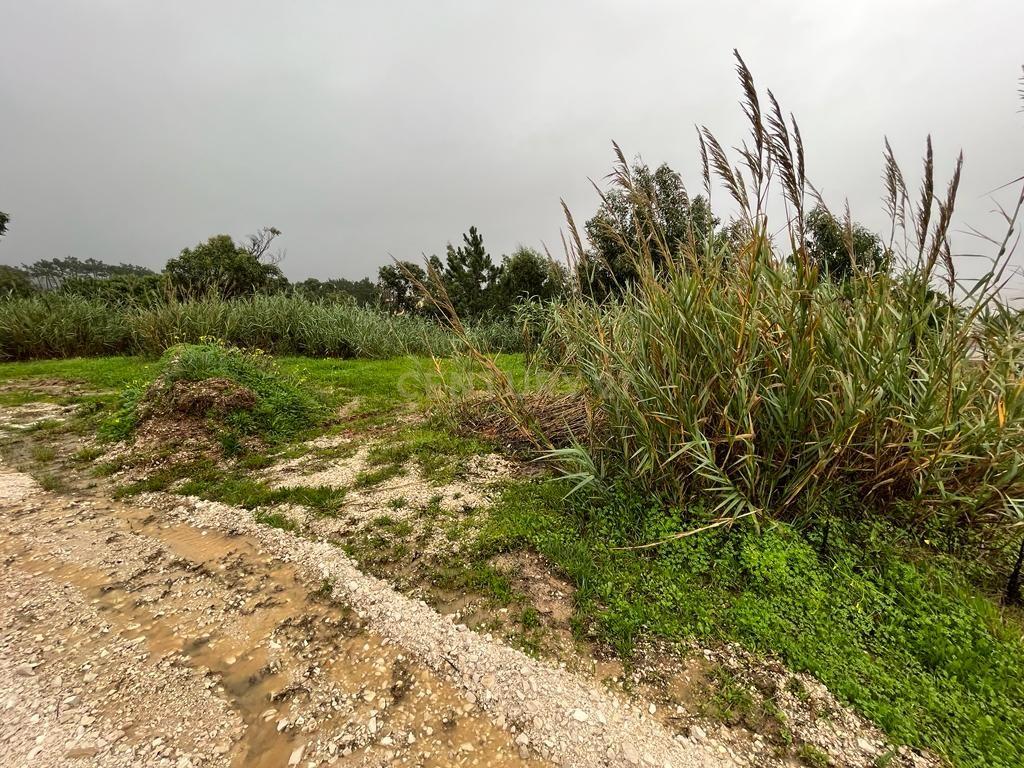 Terreno Urbano com vista mar na Serra Boa Viagem, Figueira-da-Foz - Image 4