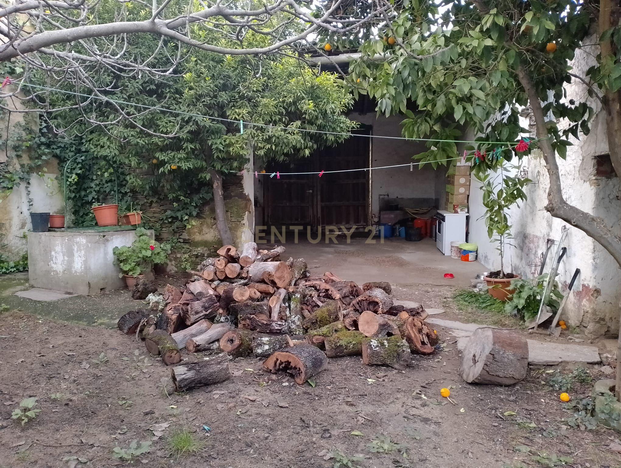 undefined - Image 20