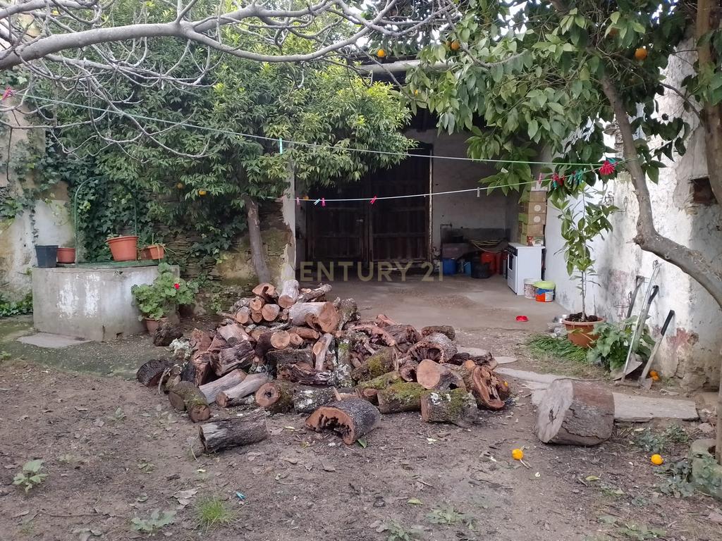 undefined - Image 20